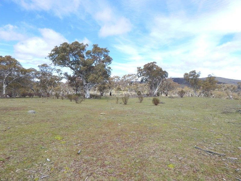 Lot 53 Nimmo Rd, Eucumbene NSW 2628, Image 0