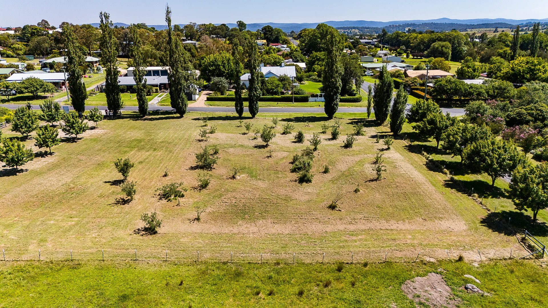 Additional image 8 of Lot 2-8/17 Naas street, Tenterfield NSW 2372