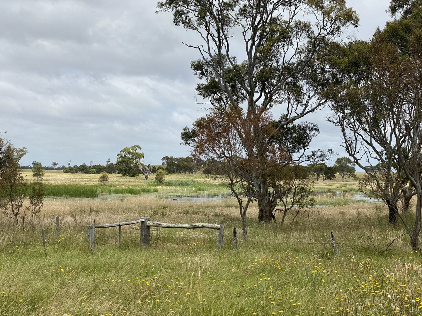 1E Bengworden Road, Meerlieu VIC 3862, Image 1