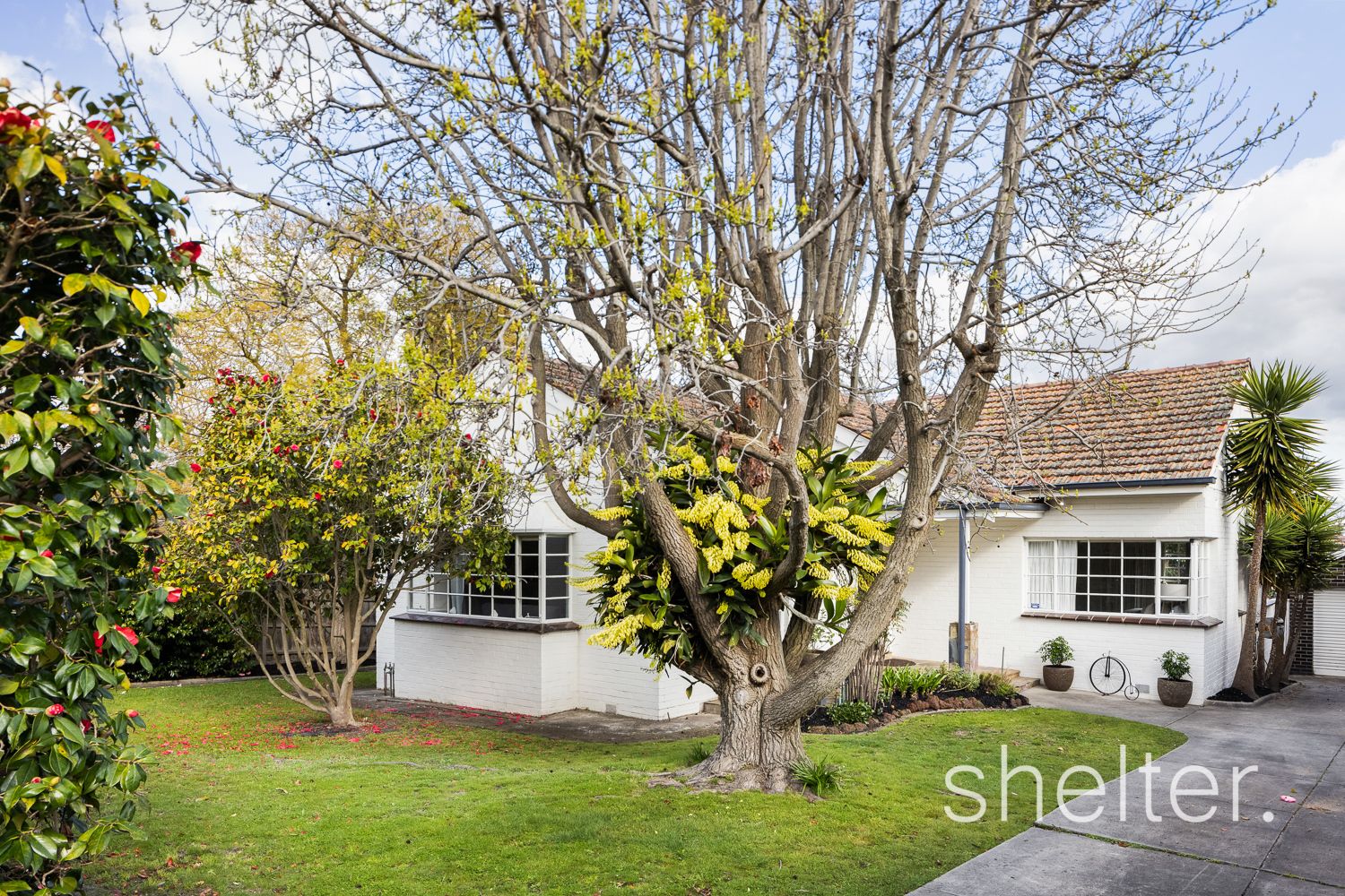 2 Carlyle Street, Ashwood VIC 3147, Image 0