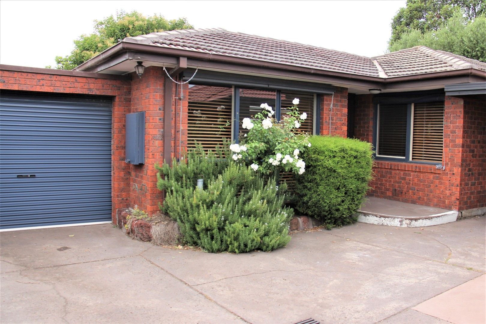 2 bedrooms Apartment / Unit / Flat in 6/403 Nepean Highway MORDIALLOC VIC, 3195