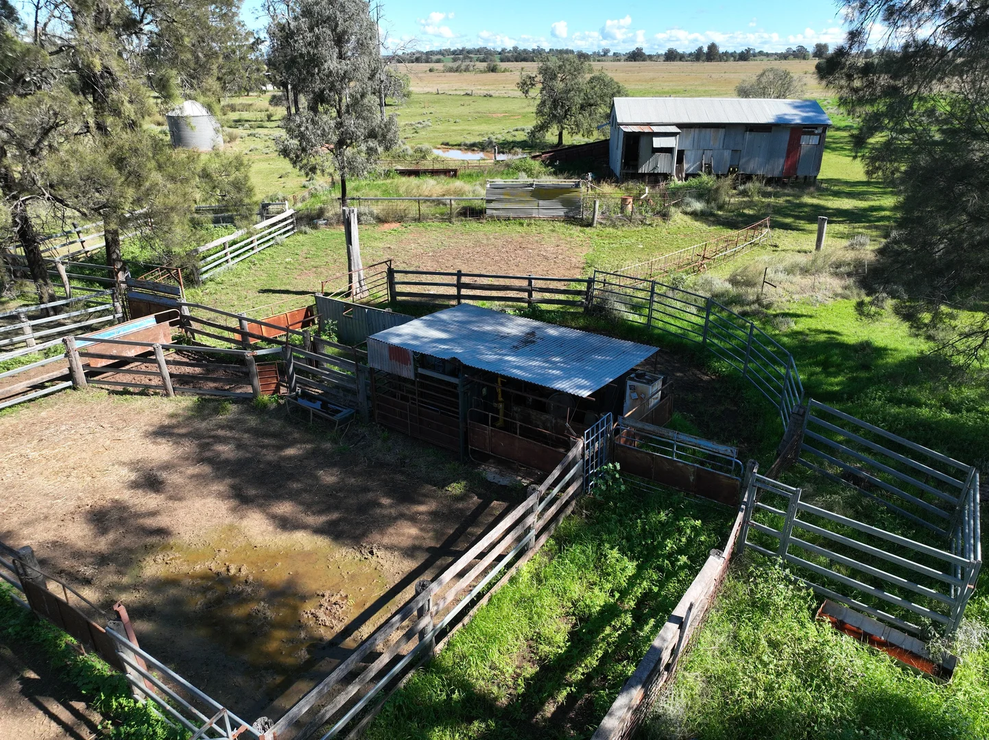 Image 6