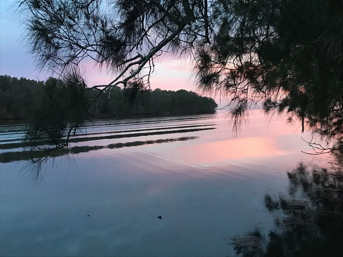 Additional image 33 of 5 South Tacoma Rd, Tacoma South NSW 2259