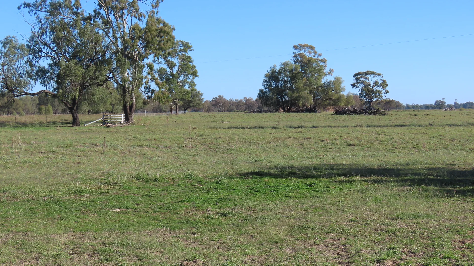 Image 12