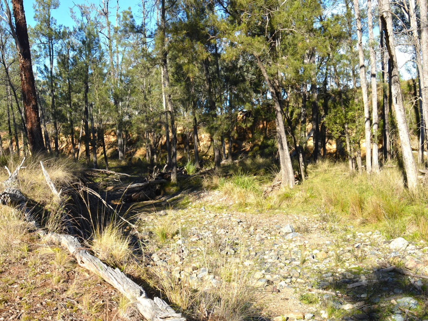 Additional image 12 of Lot 1 Hollybank Road, Inglewood QLD 4387