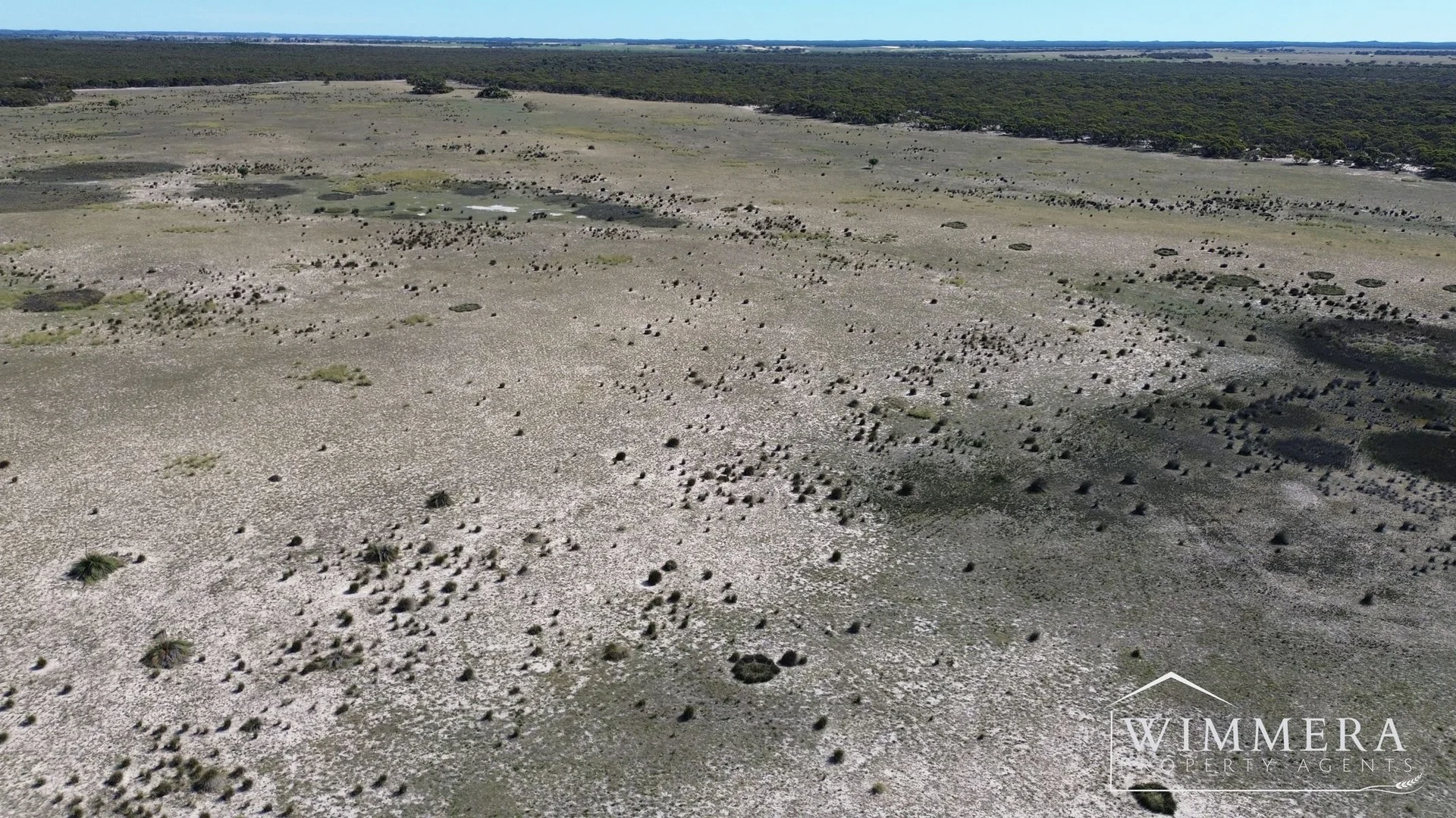 Image 13