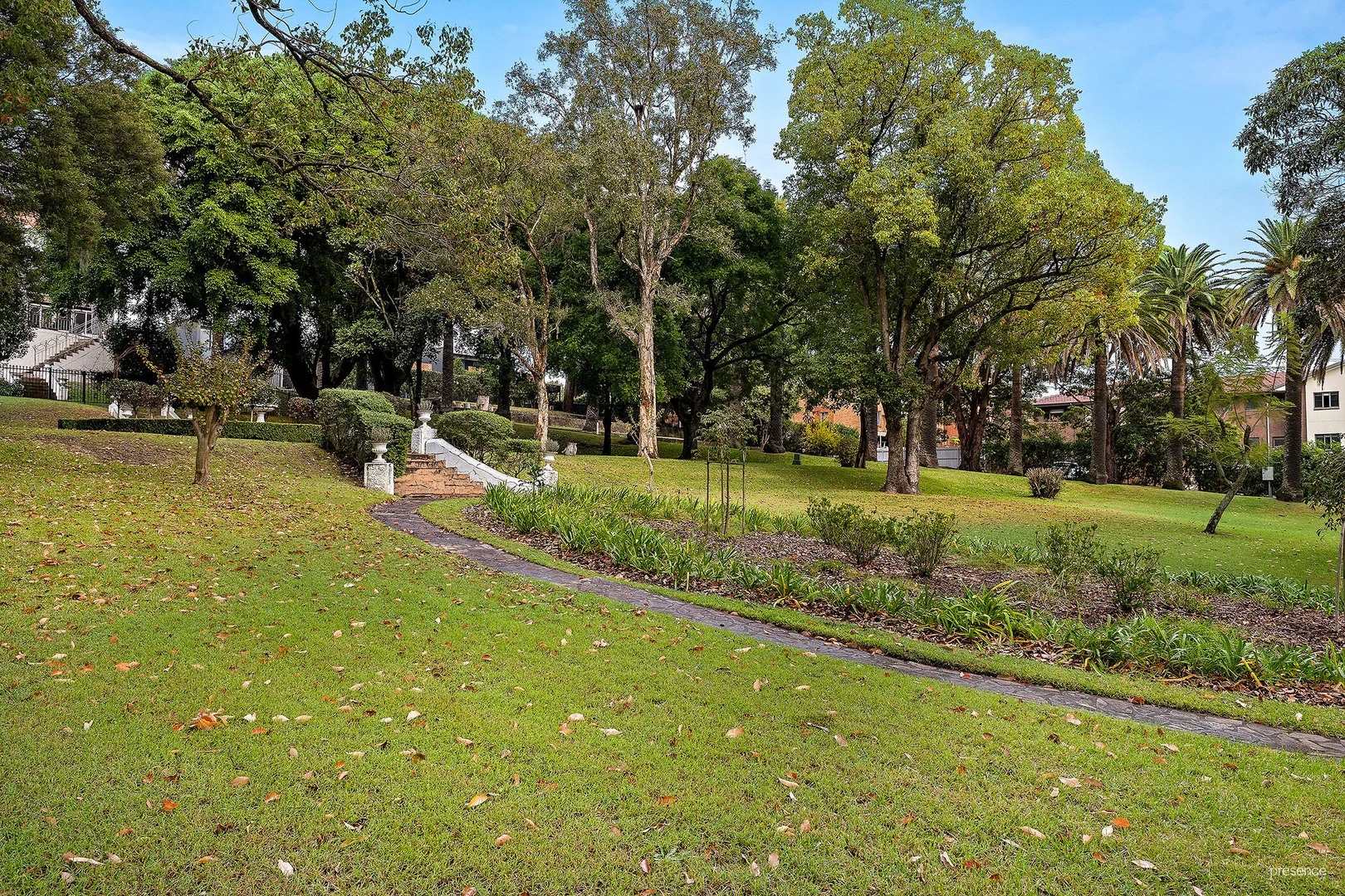 Image 15