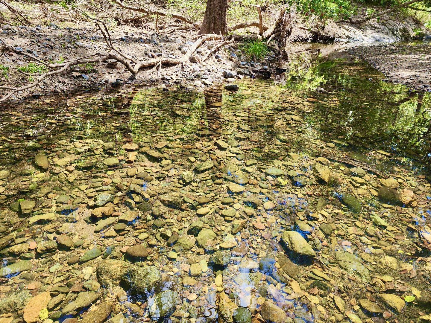 Off Banks Creek Road, Banks Creek QLD 4306, Image 2