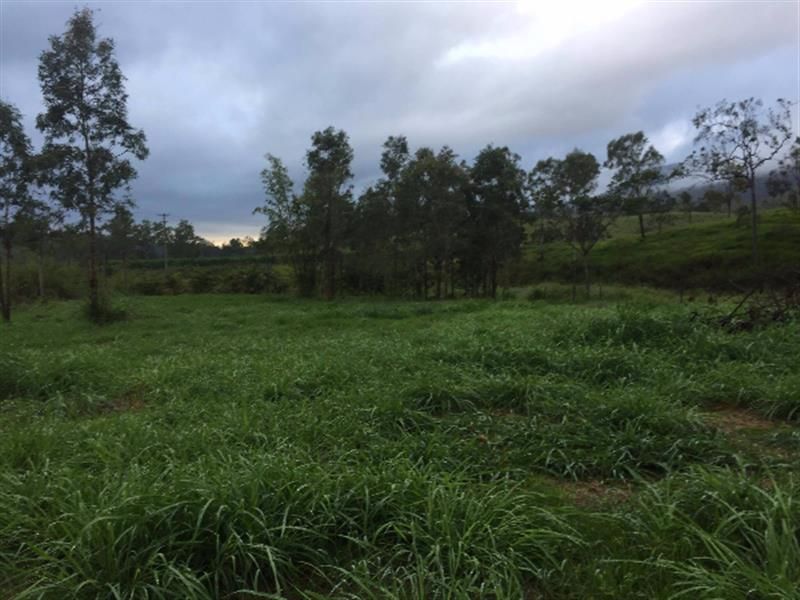 6463 MacKay Eungella Road, Netherdale QLD 4756, Image 2