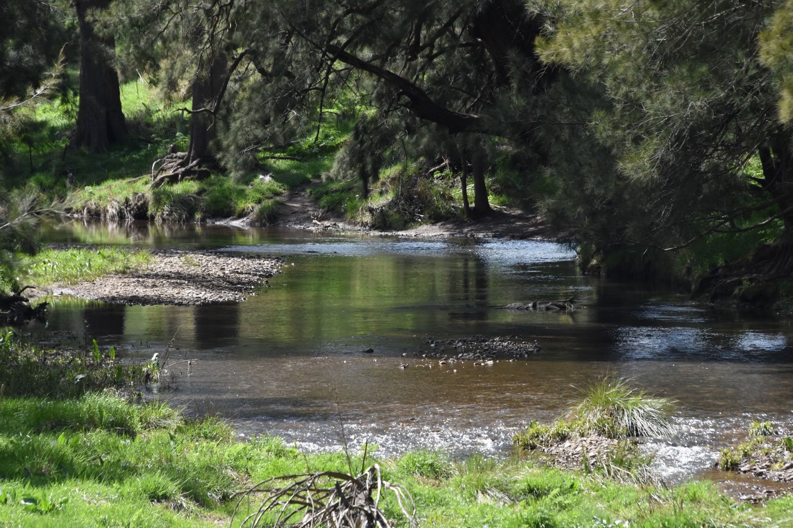 171 Saint Anthony's Creek Road, Glanmire NSW 2795, Image 2