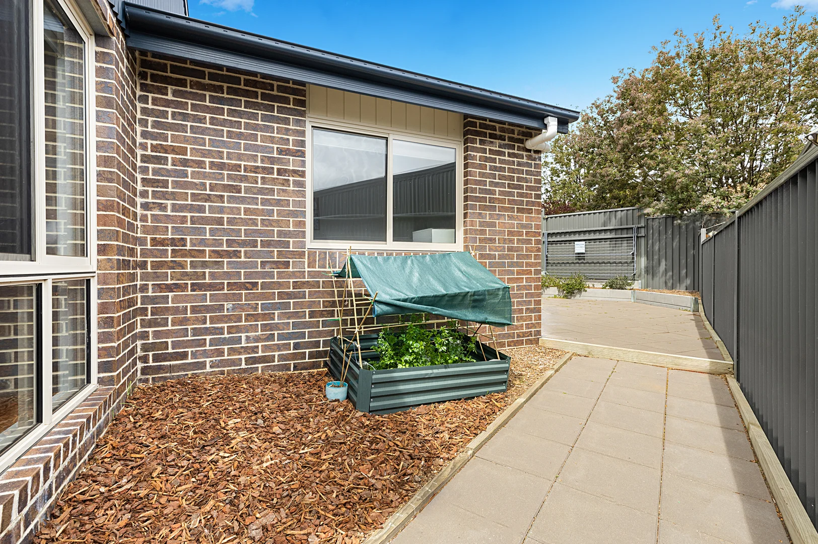 Image 15
