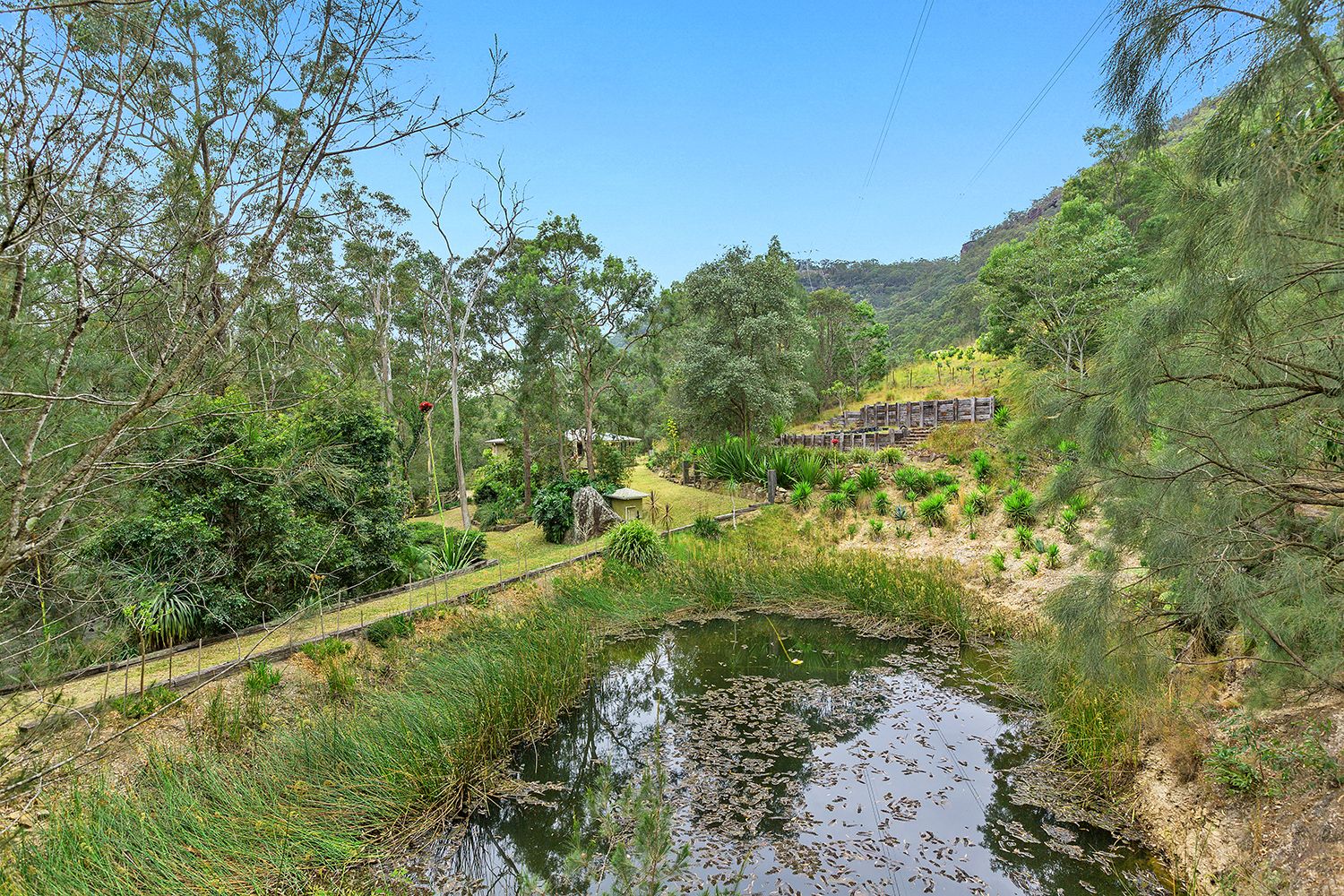 128  Mangrove Creek Road, Greengrove NSW 2250, Image 0