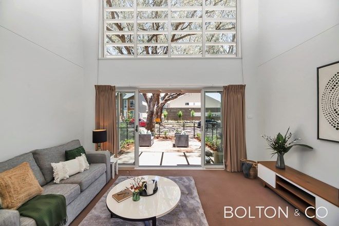 88 Rental Properties In Downer Act 2602 Domain