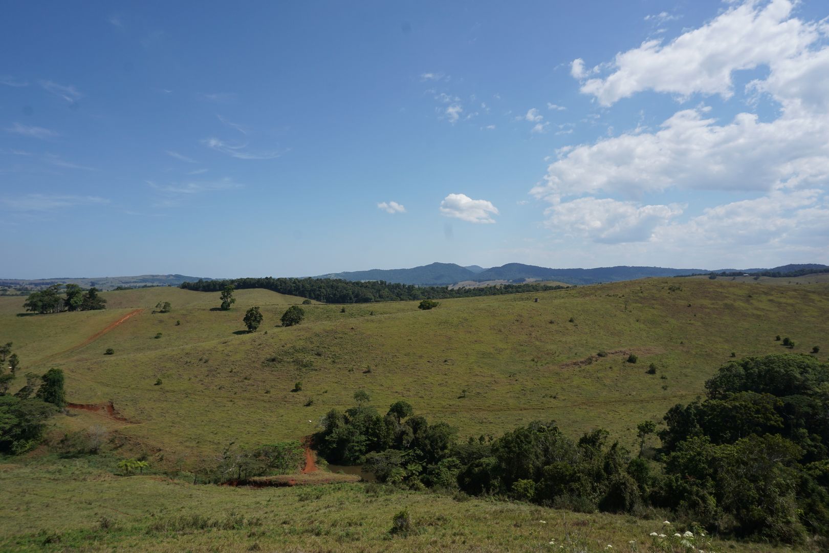 Tarzali QLD 4885 House for Sale 899,000 Domain