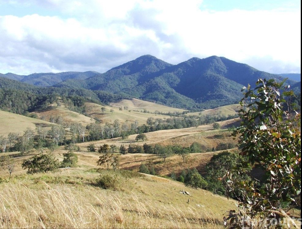 54 Mackenzies Creek Road, Bellbrook NSW 2440 Vacant Land for Sale