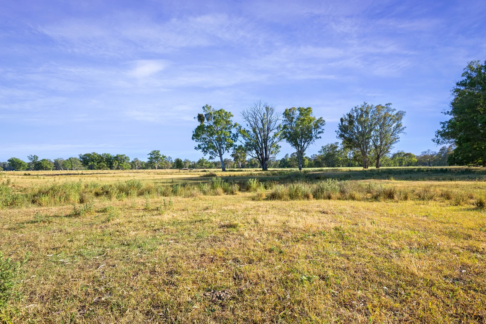Image 15