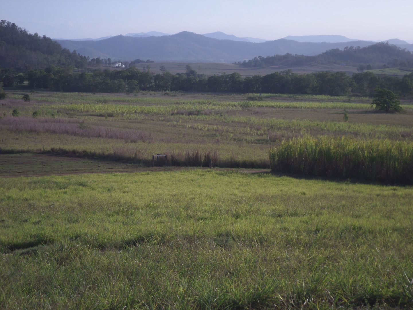 Gargett QLD 4741, Image 2