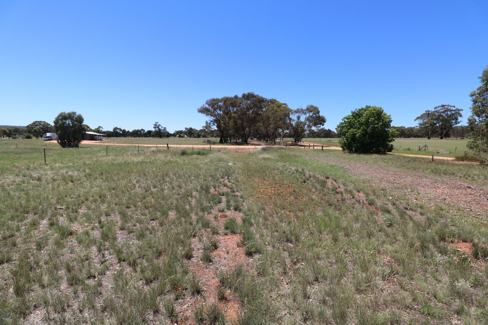 Newbold Street, Wedderburn VIC 3518, Image 2