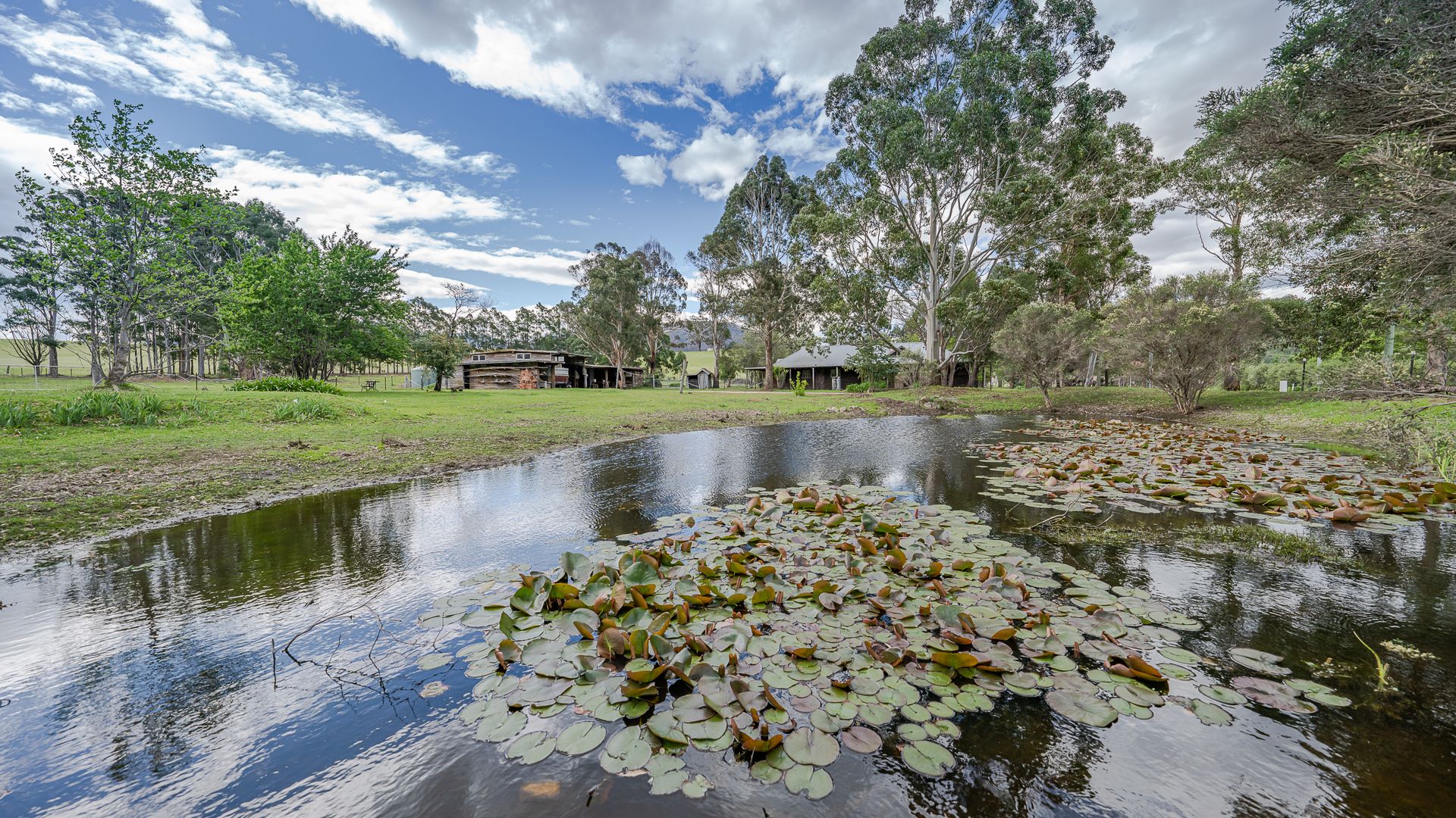 1469 Big Jack Mountain Rd, Rocky Hall NSW 2550, Image 1