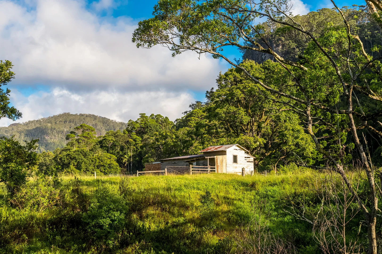 Additional image 7 of 1028 Wilsons Creek Road, Wilsons Creek NSW 2482