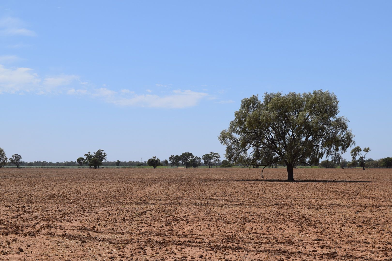 Part Gloming Bedgerebong Road, Forbes NSW 2871, Image 1