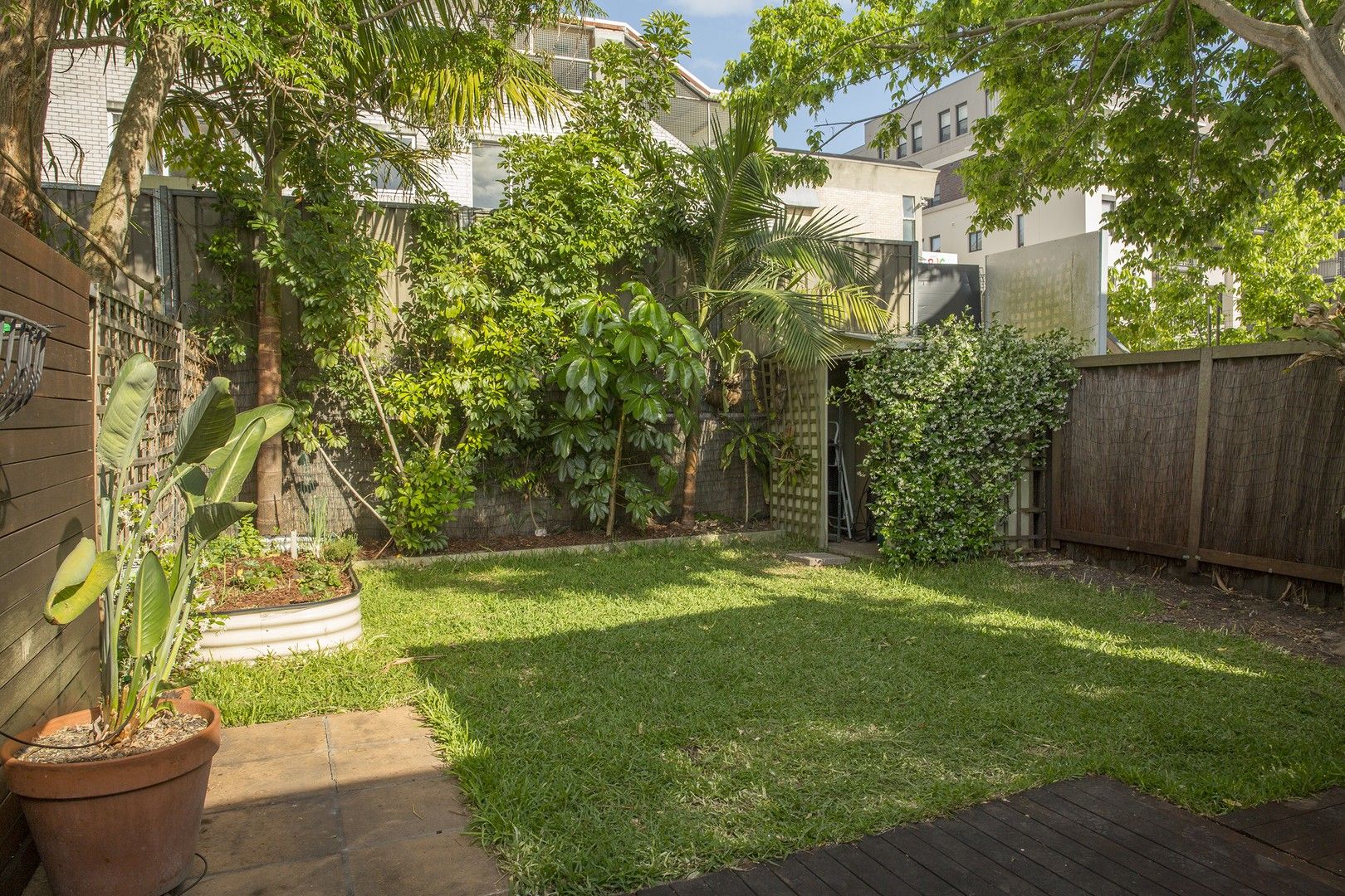 57 Anglesea Street, Bondi NSW 2026 House For Rent 1,300 Domain