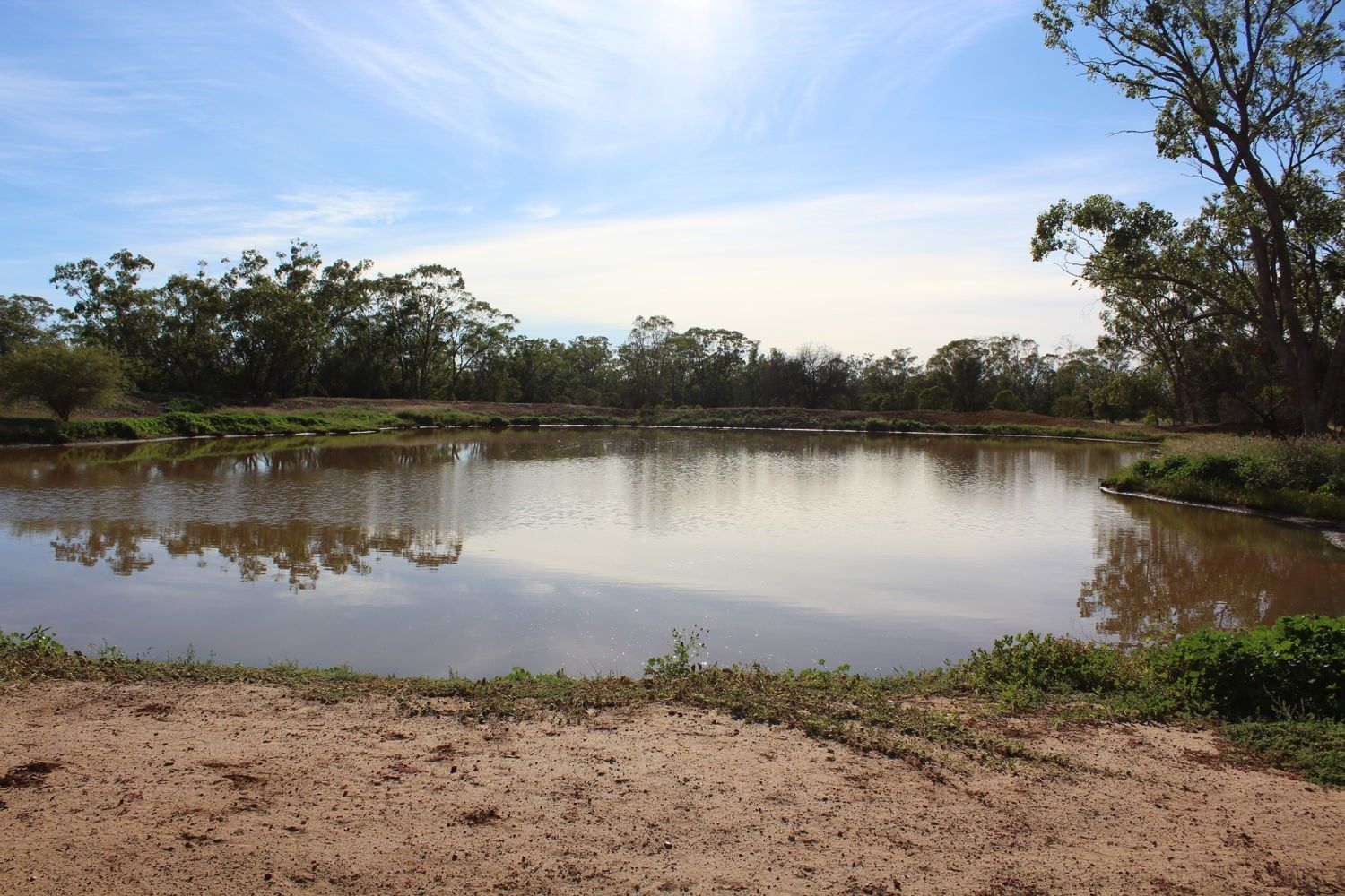 "Glenwood South", Mungindi NSW 2406 House for Sale 455 Domain