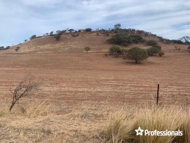 66 Chintapee Road, Bringo WA 6532, Image 1