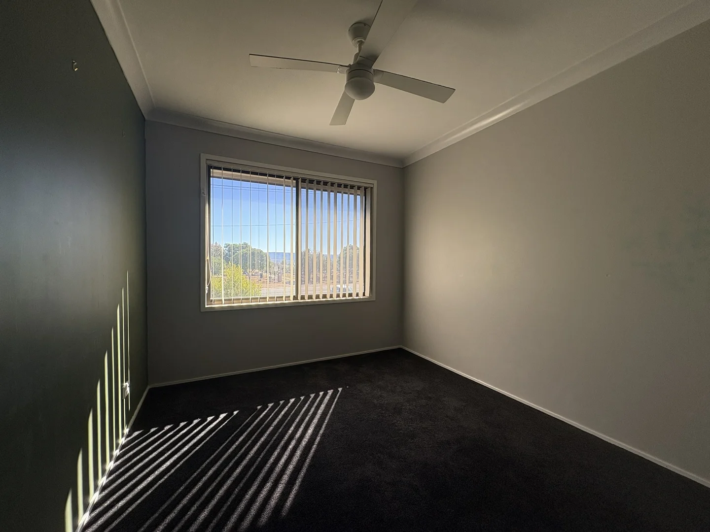 Additional image 13 of 122 Segenhoe Street, Aberdeen NSW 2336