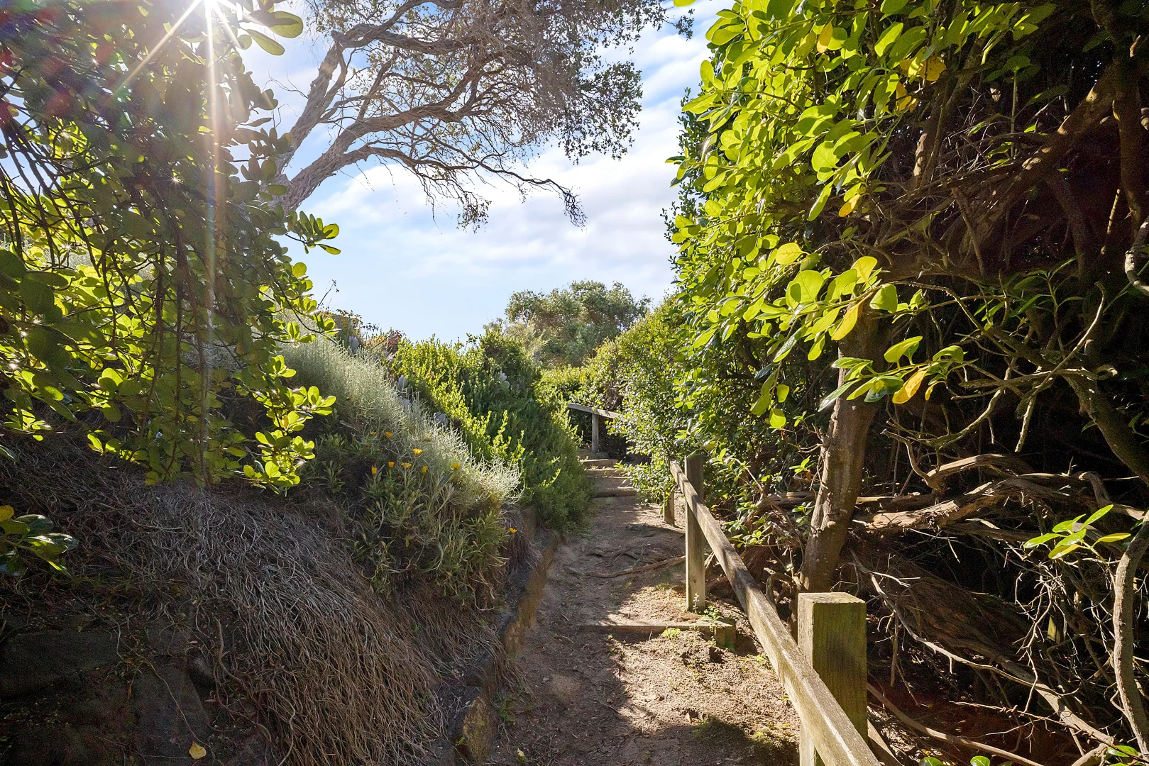 Image 24