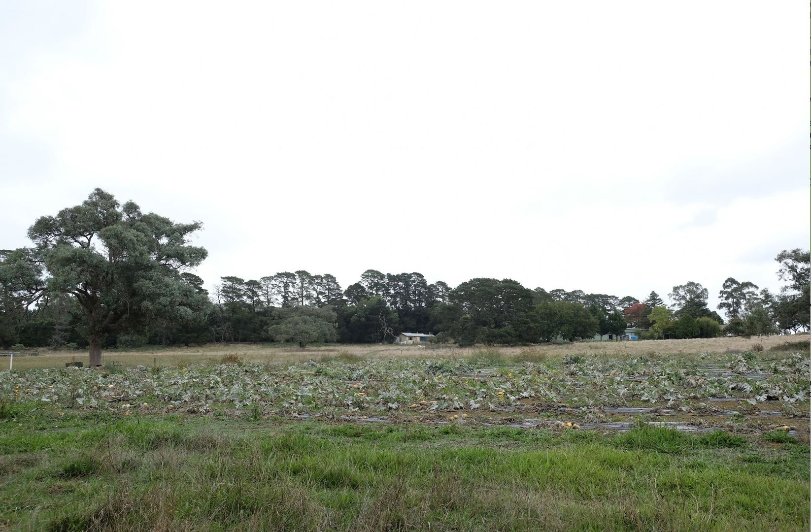 325 Little Yarra Rd, Yarra Junction VIC 3797 Farm for Rent Domain