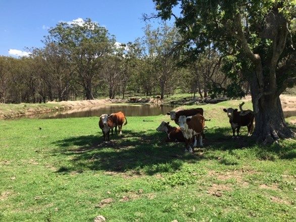 Kerrick Maryland Gate Rd, Dalveen QLD 4374, Image 0