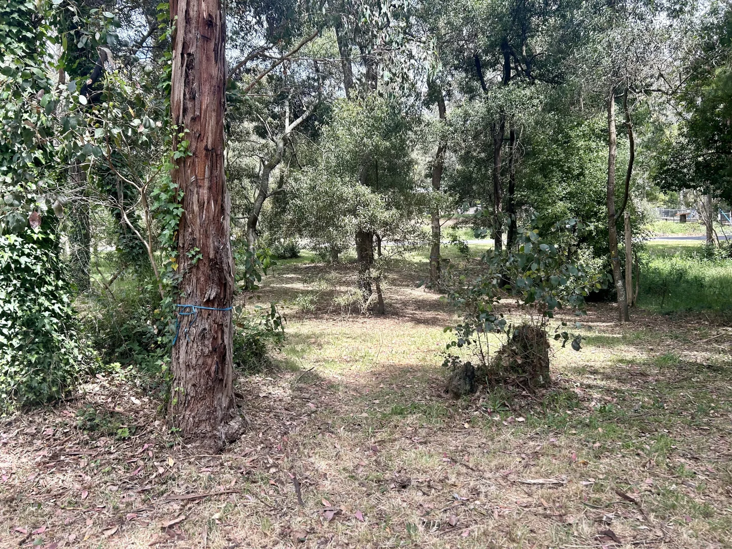 Image 9