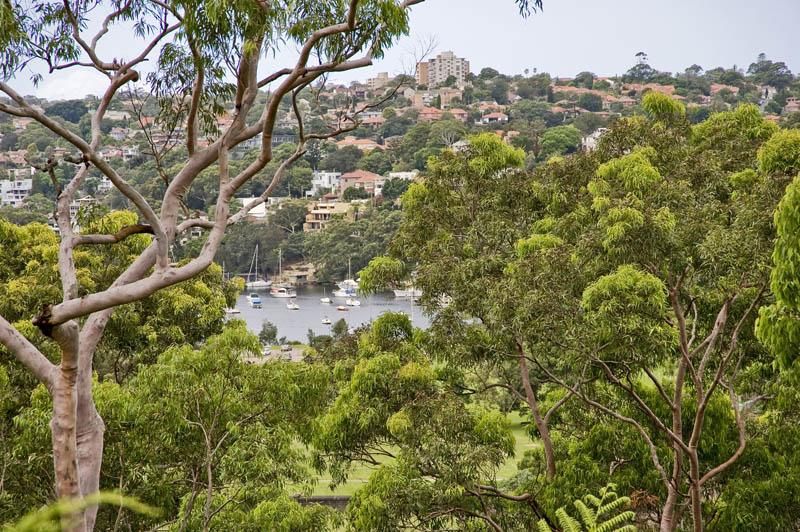 6 bedrooms House in 64 Cliff Avenue NORTHBRIDGE NSW, 2063