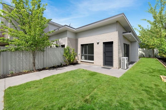 Picture of 8/86 Mawson Drive, MAWSON ACT 2607