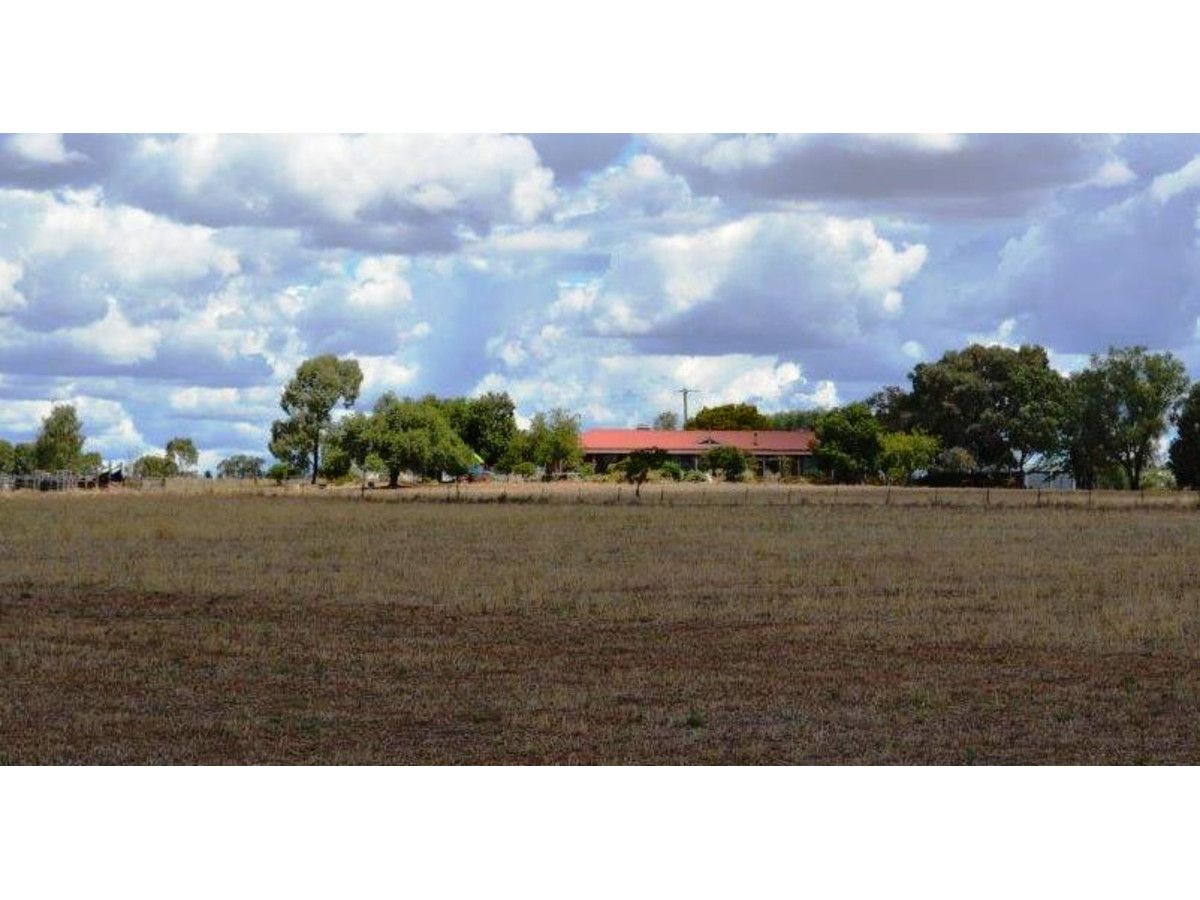 925 Quia Road, Gunnedah NSW 2380, Image 0