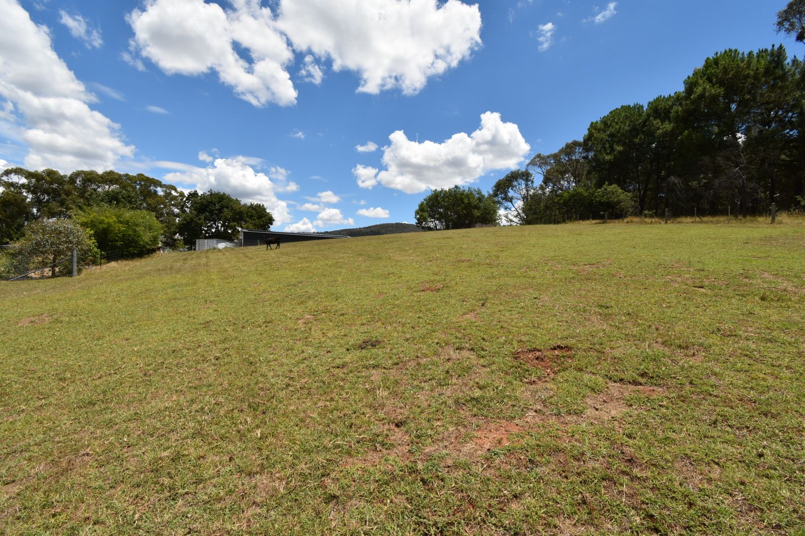 7 RAILWAY AVENUE, Yackandandah VIC 3749 Domain