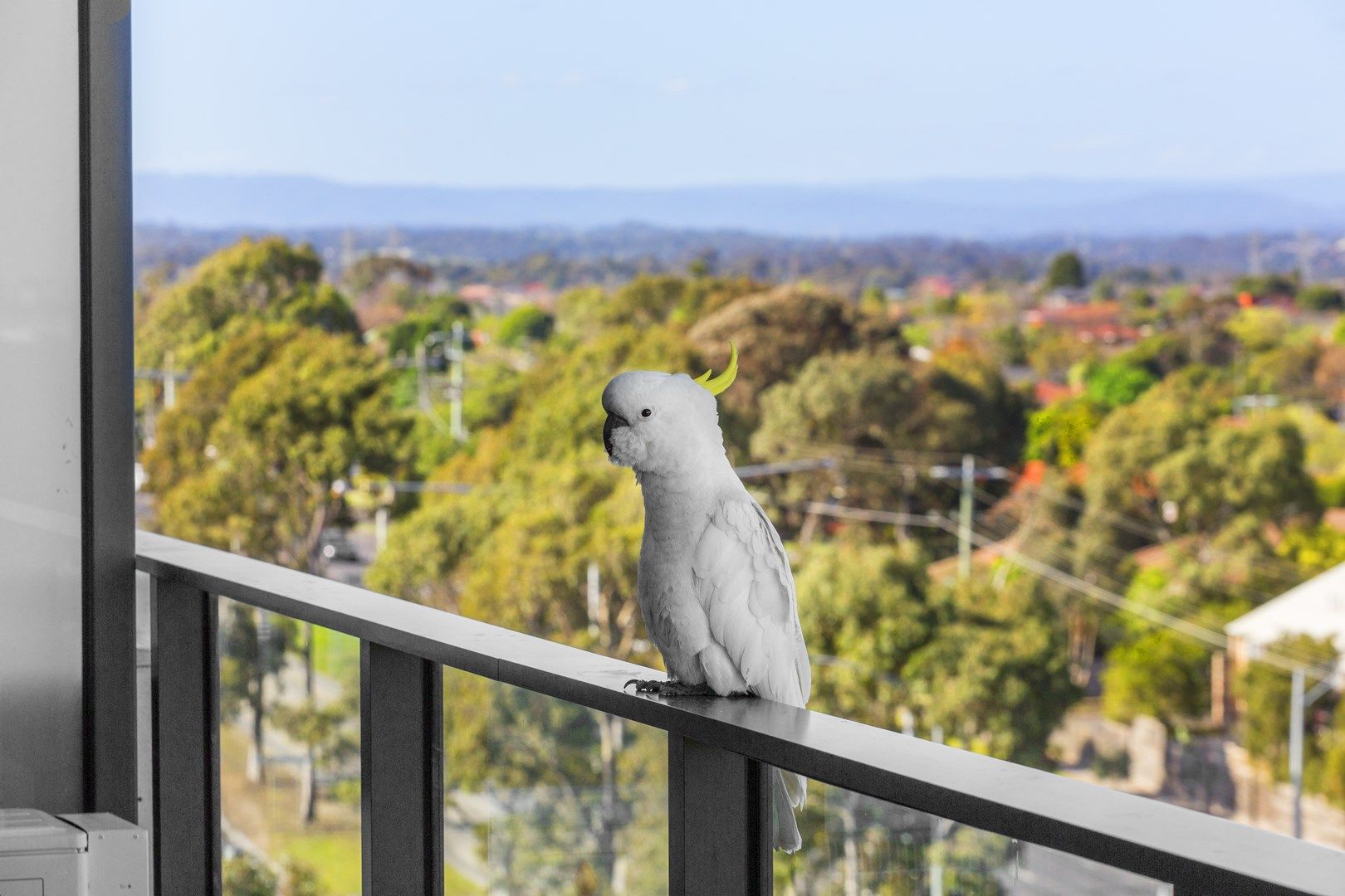 702A/1091 Plenty Road, Bundoora VIC 3083, Image 0