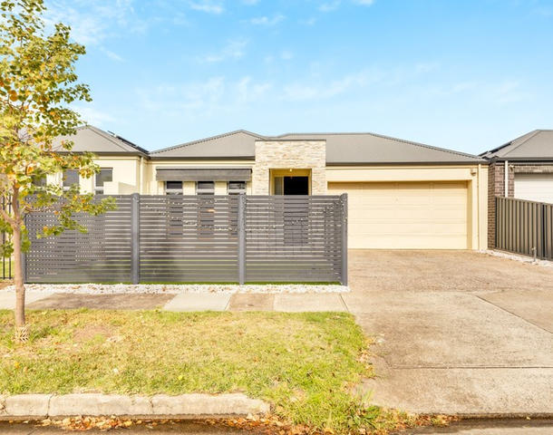 63 Findon Avenue, Seaton SA 5023