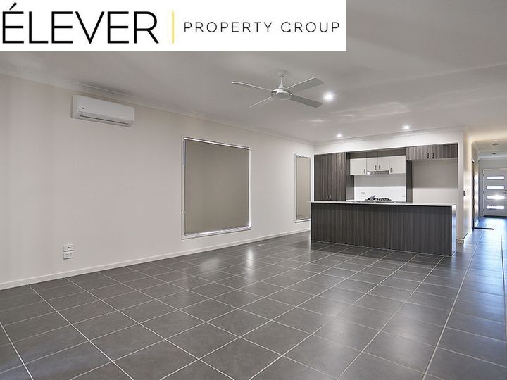 12 Buccaneer Street, Newport QLD 4020 House For Rent 630 Domain