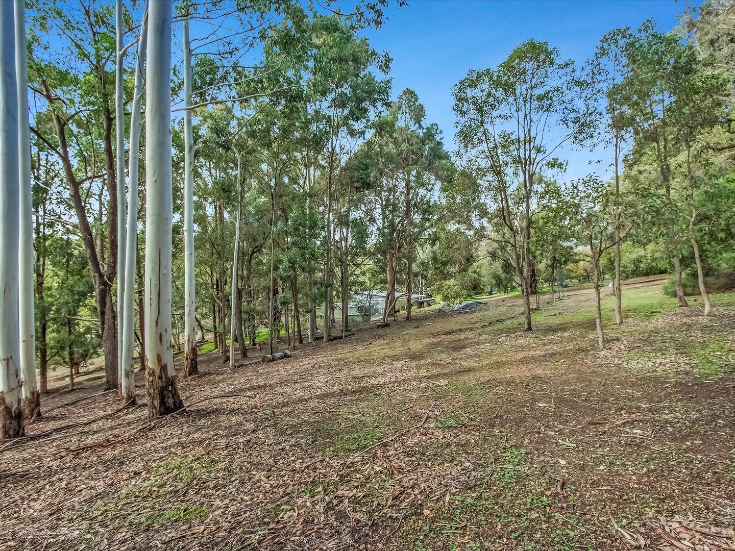 452 Jarrahdale Road, Jarrahdale WA 6124, Image 1