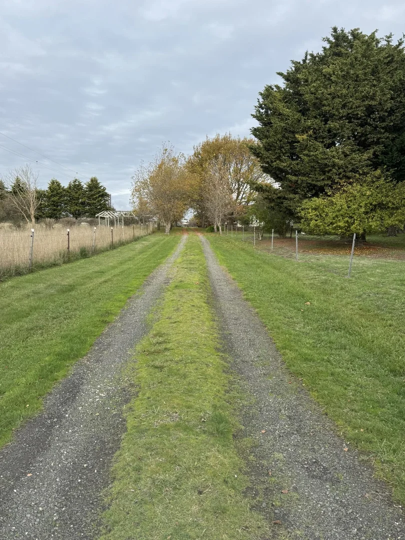 Image 16