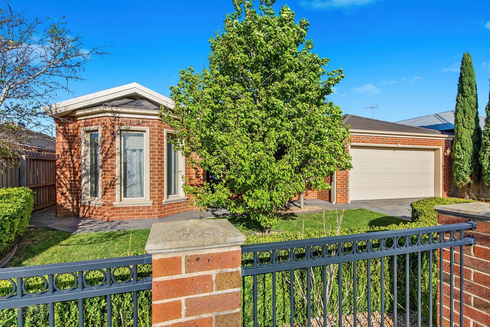 4 bedrooms House in 1 Curdie Place GROVEDALE VIC, 3216