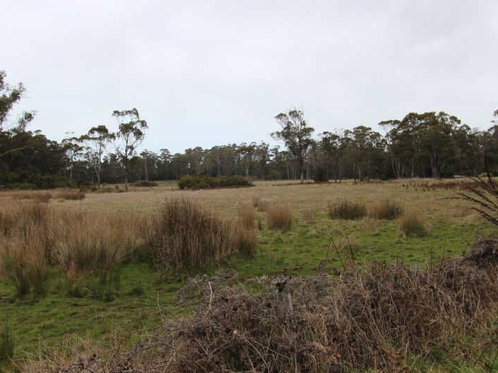 Bakers Lane, Northdown TAS 7307, Image 2