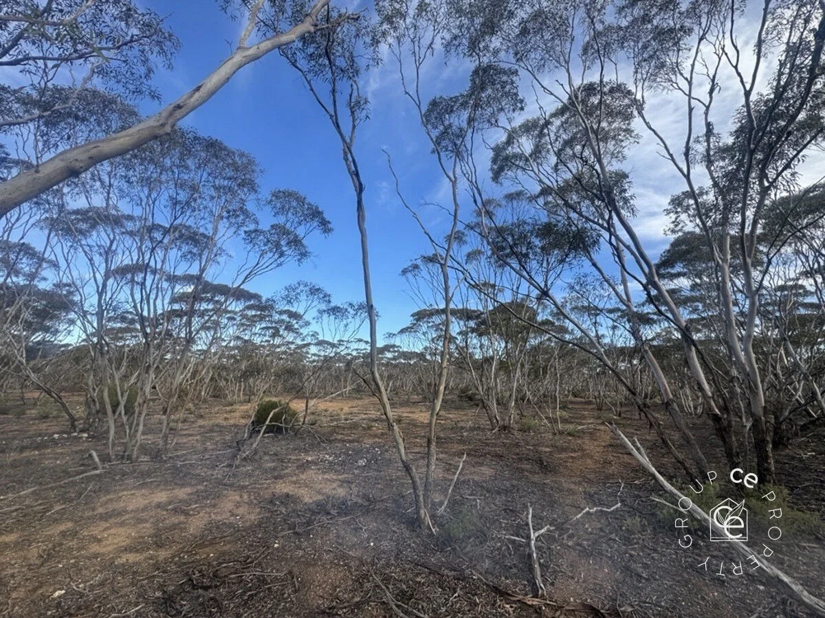 Additional image 42 of 385 Pipeline Road, Fisher SA 5354