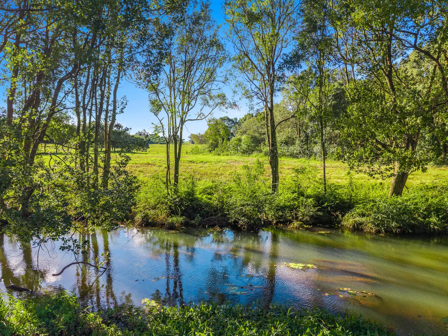 Additional image 19 of 1141 Friday Hut Road, Binna Burra & 36b Brooklet Road, Newrybar NSW 2479