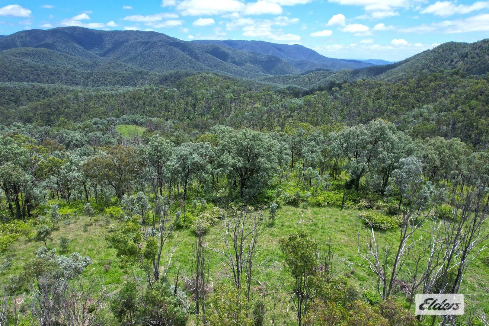 Main Camp Road, Boorook NSW 2372, Image 1