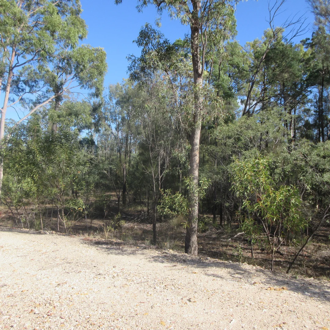 Image 10