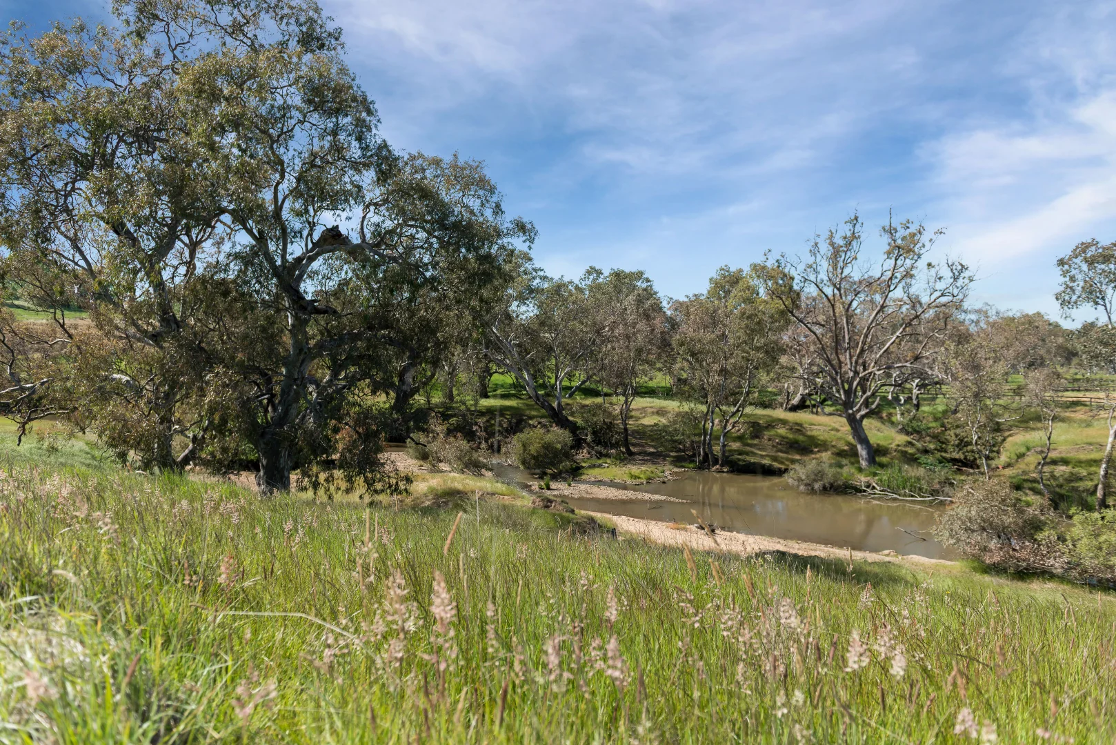 Image 28