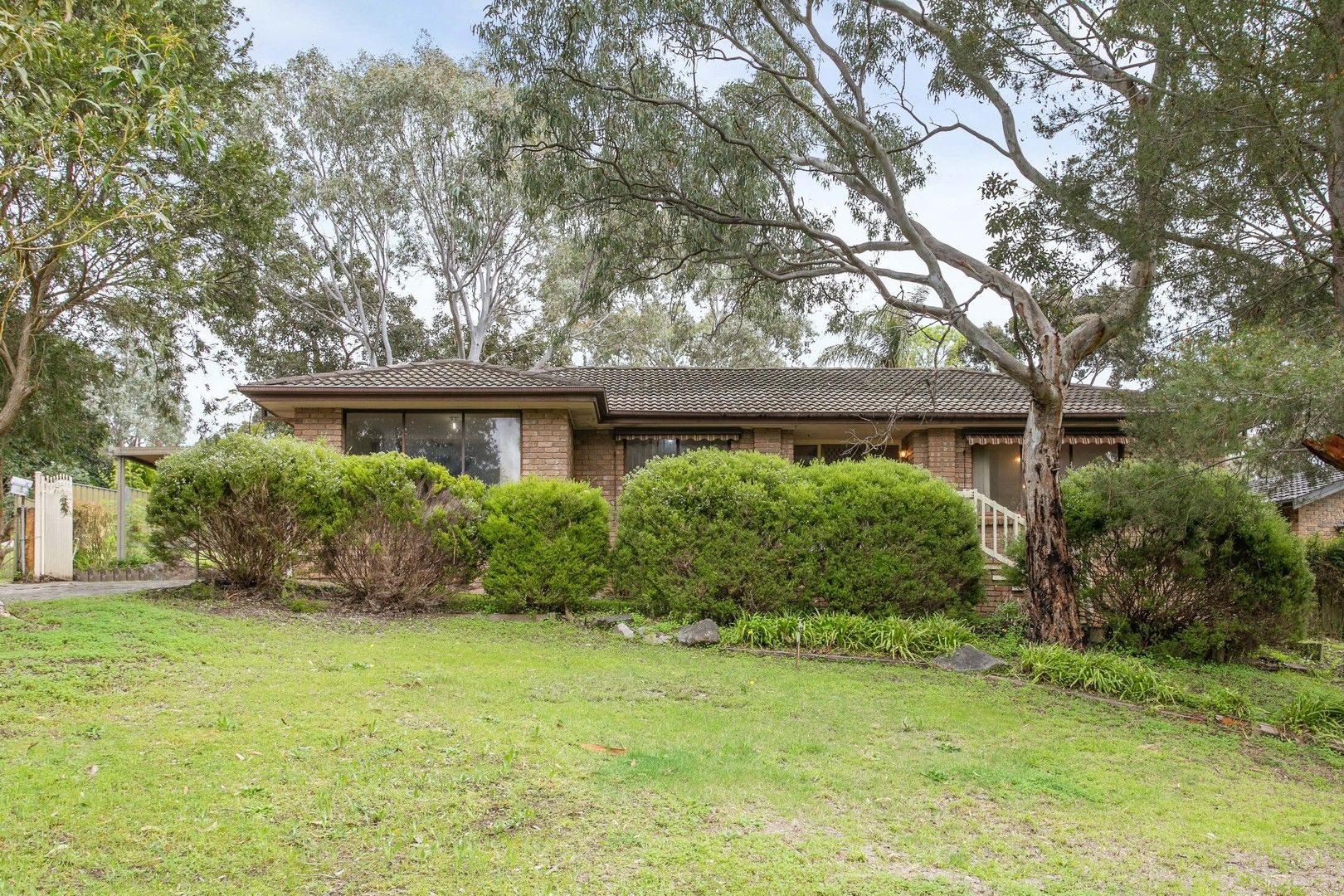 10 Redgum Place, Aberfoyle Park SA 5159, Image 0